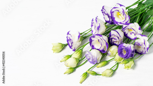 Bouquet of lisianthus blue or eustoma grandiflora on the white background closeup. Nice greeting card design for Vealentine's day or Mother's day or any holiday.