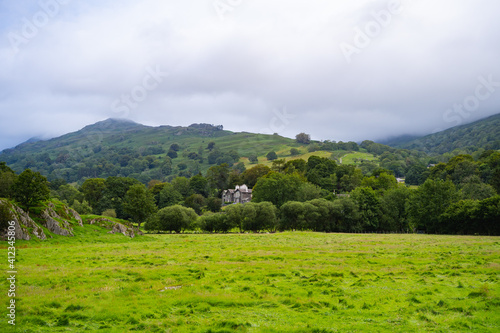 landscape with trees