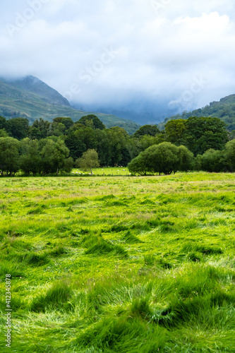 meadow with mountains behind