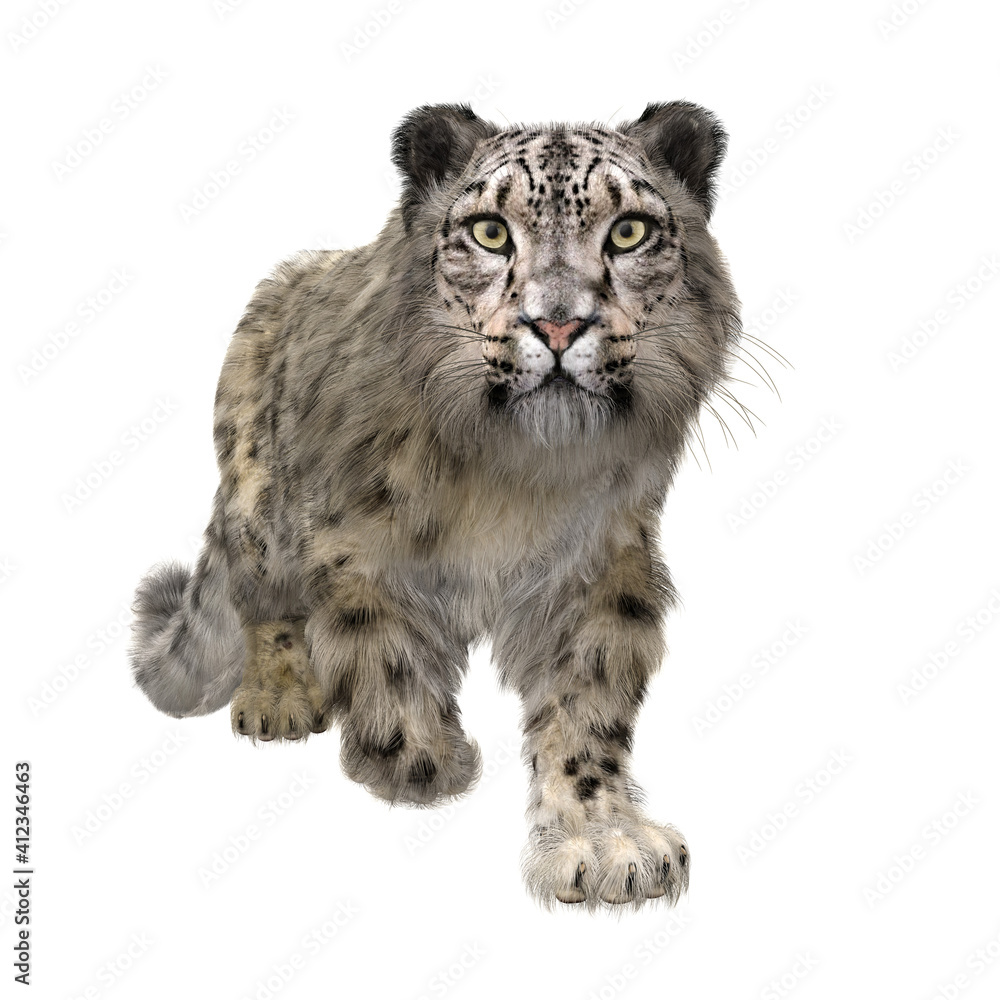 Fototapeta premium Snow Leopard Walking. 3D illustration isolated on white.