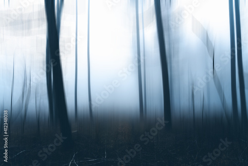 Gruseliger dunkler Nebel Wald