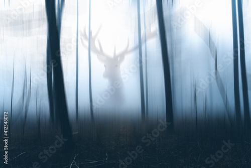 Gruseliger dunkler Nebel Wald mit Hirsch Silhouette