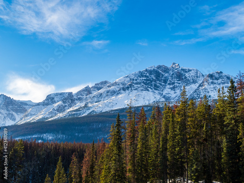 Forest and mountain view in Jasper national park, Canada