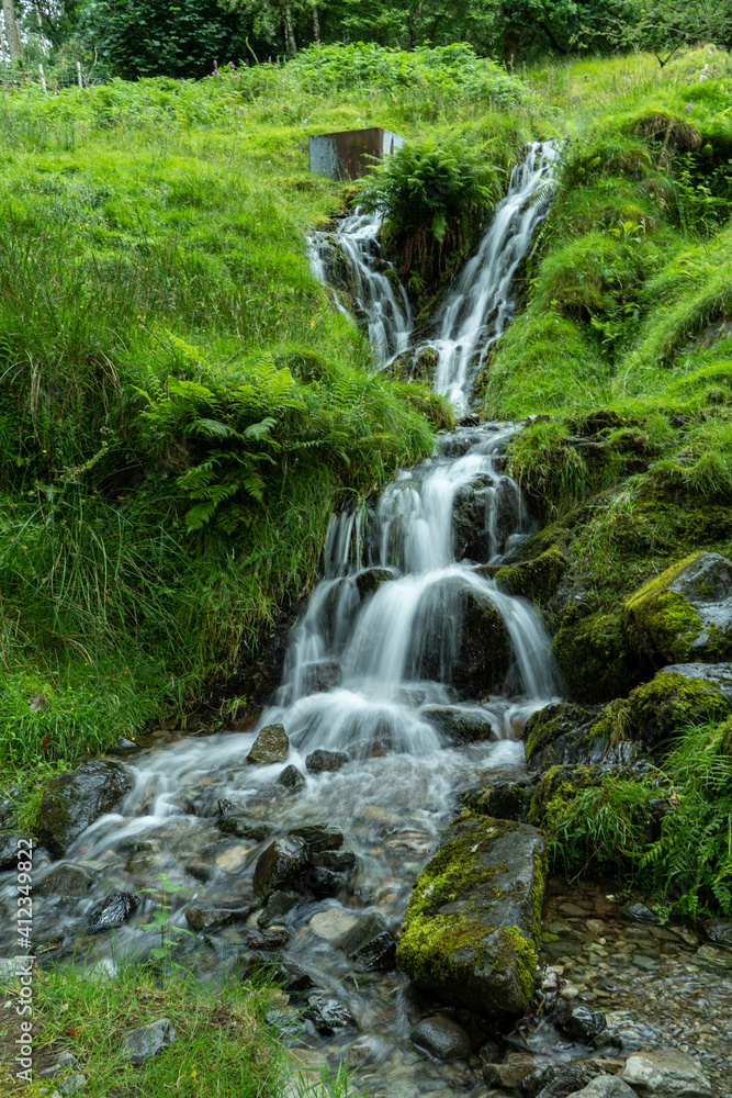 Fototapeta premium waterfall in the forest
