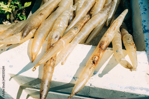 Dried fish maw