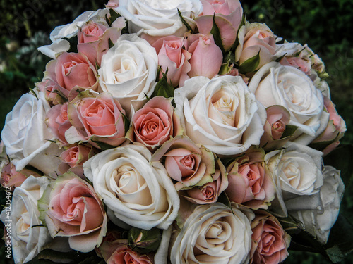 Wedding bouquet of pinkand white and pink roses. photo