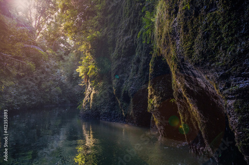 River in the forest with the sun and trees