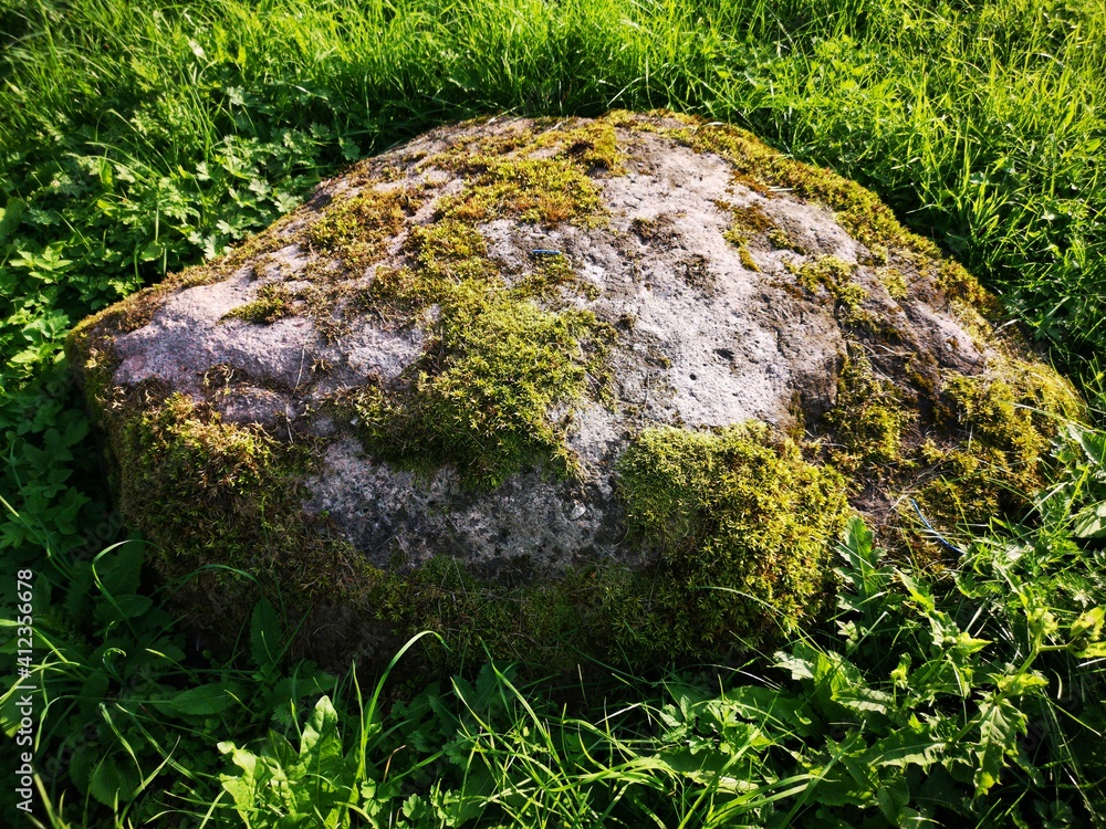 stone overgrown with moss in a clearing summer day