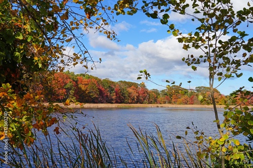 Fototapeta Naklejka Na Ścianę i Meble -  View of colorful autumn foliage by the water at the Scarborough Beach State Park near Portland, Maine, United States