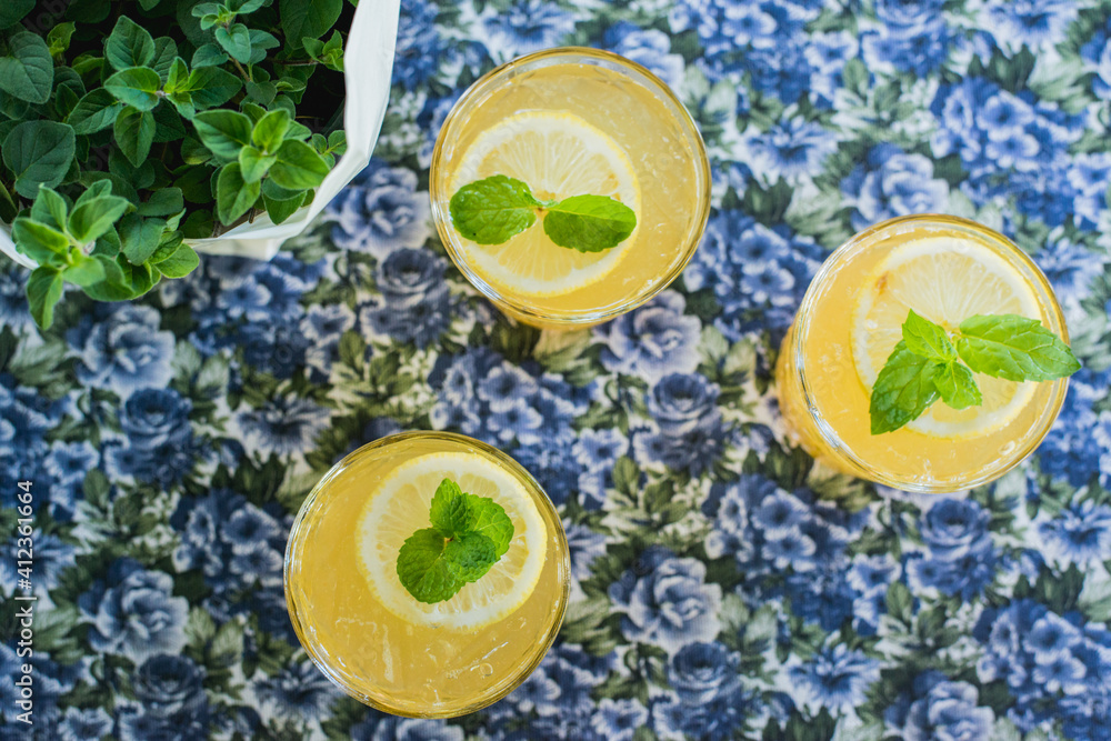 Homemade Honey Lemonade with Fresh Mint Homemade Honey Lemonade with Fresh Mint