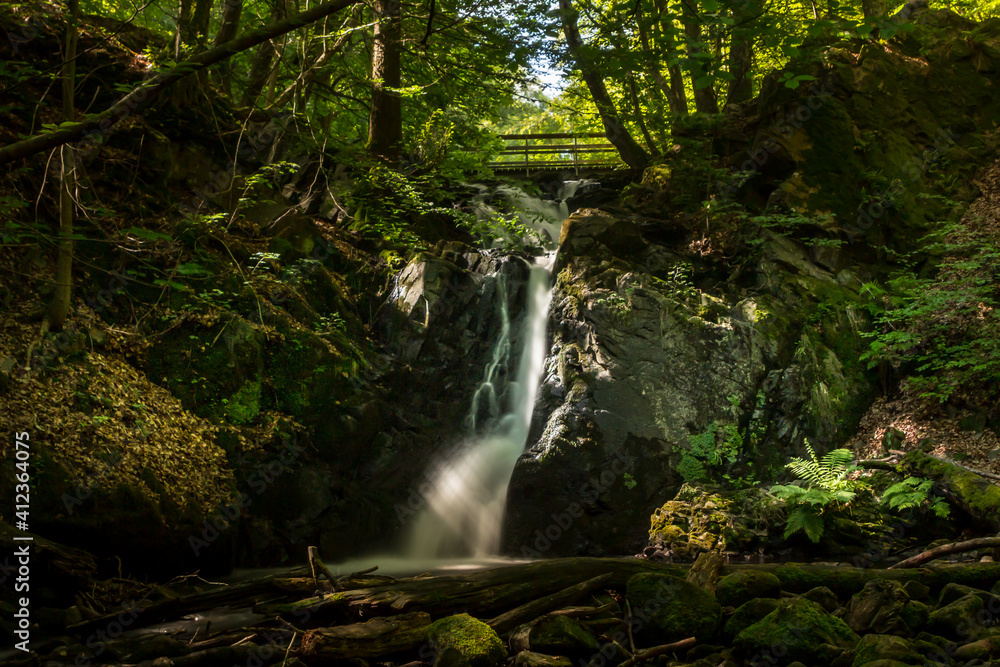 Naklejka premium waterfall in the forest