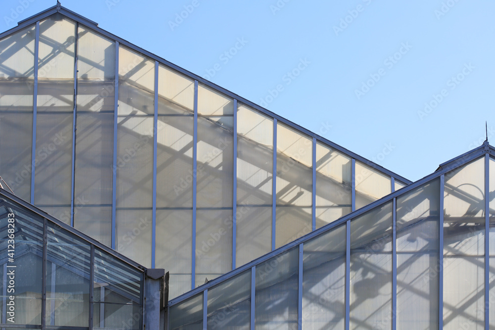 The Sun Shining Through A Glass Greenhouse On A Clear Morning The Sun Shining Through A Glass Greenhouse On A Clear Morning