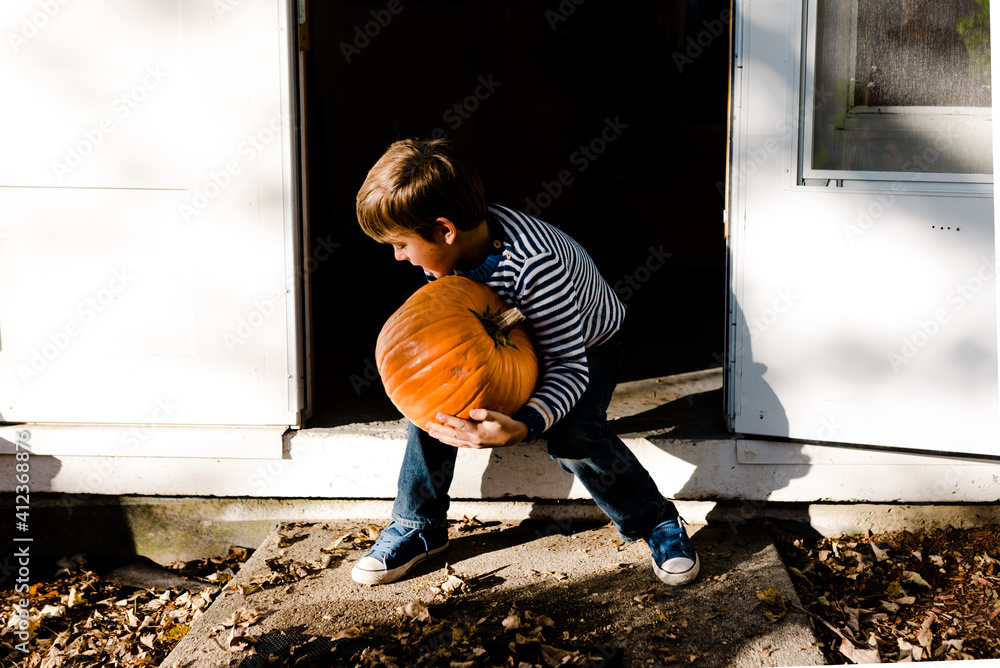 enormous pumpkin enormous pumpkin