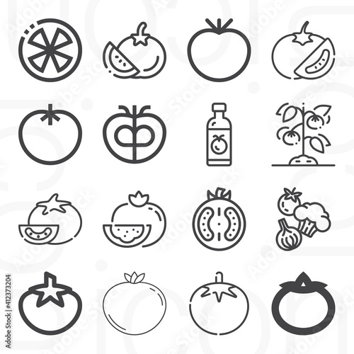 16 pack of tomato isolated  lineal web icons set