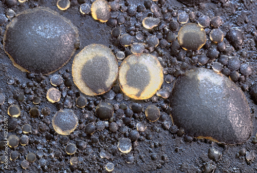 Extreme closeup of congealed grease in the bottom of a frying pan, part looking like two eyeballs photo