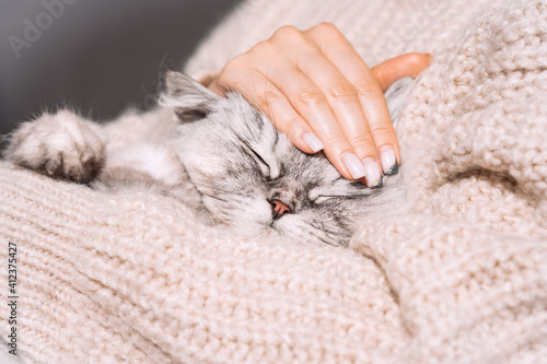 Woman petting her lovely fluffy cute cat. Cute kitten with closed eyes. Love cats and humans.