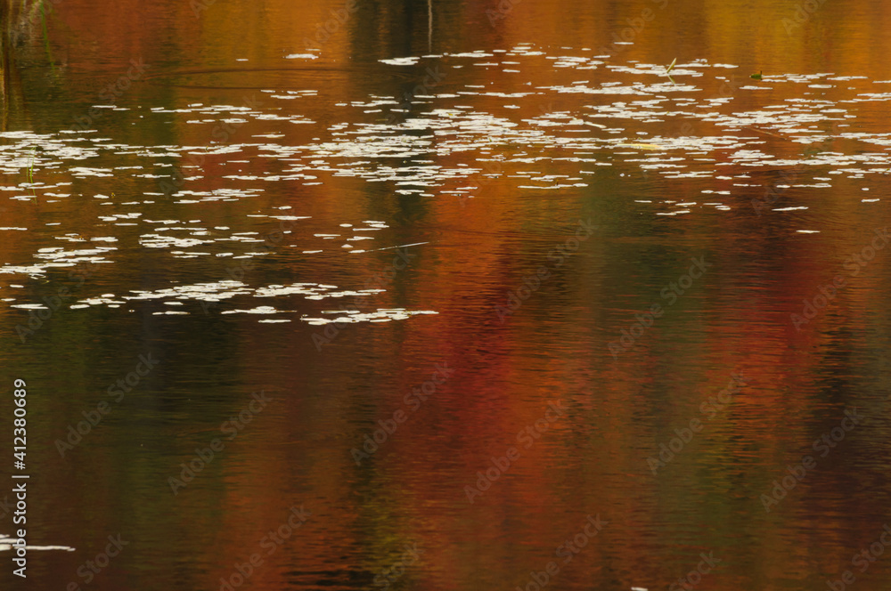Autumn colours reflecting in a lake Autumn colours reflecting in a lake