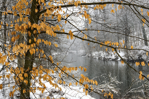 snowy day by the river