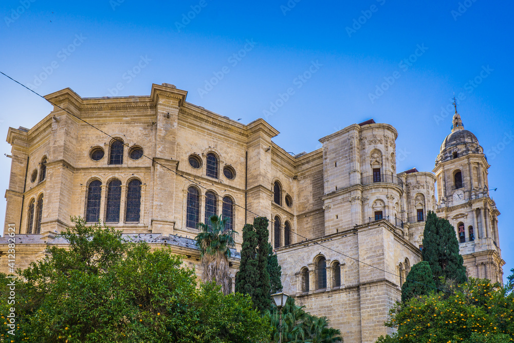 the lateral facade of the Catedral de la Encarnacion in Malaga, Andalucia (Spain), with orange tree in the foreground