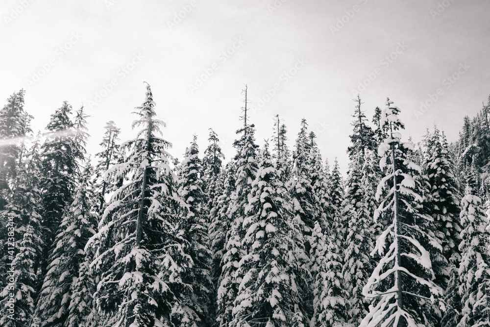 Snow covered mountain winter scenes Snow covered mountain winter scenes