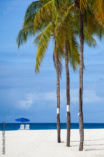 Bearch chairs early morning on a beach int Barbados, Caribbean photo