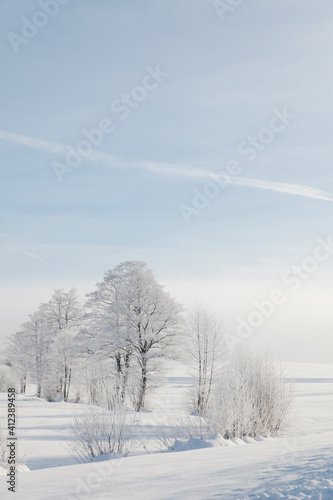 Wallpaper Mural Winter landscape in austria Torontodigital.ca