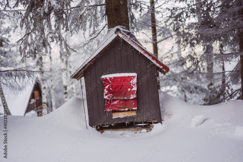 Pet house covered in snow Pet house covered in snow