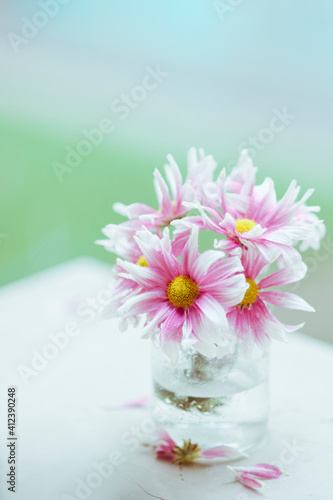 Wallpaper Mural Sweet pastel color flowers Torontodigital.ca