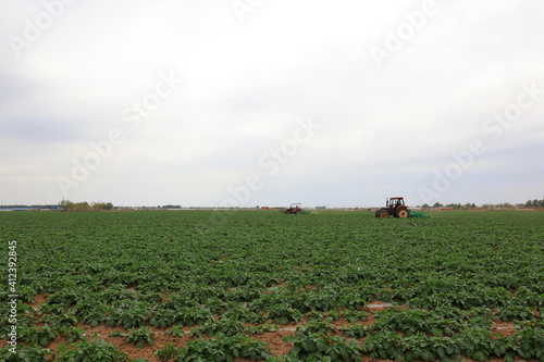 Farmers drive tractors in potato fields and weed on farms © zhang yongxin