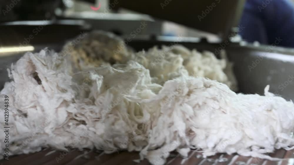 Laying pieces of sheep wool on a conveyor Laying pieces of sheep wool on a conveyor