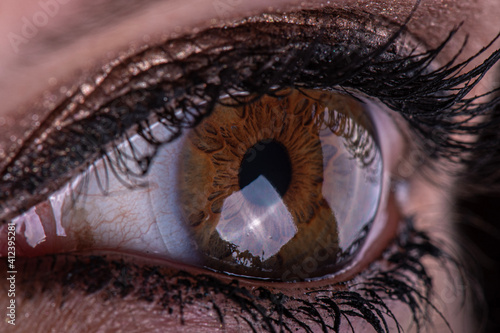 eye in the eye