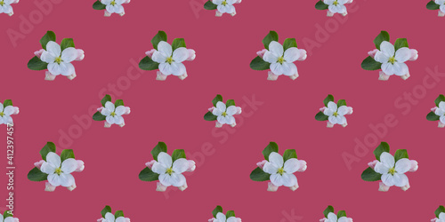 Wallpaper Mural Seamless pattern with apple tree flowers Torontodigital.ca