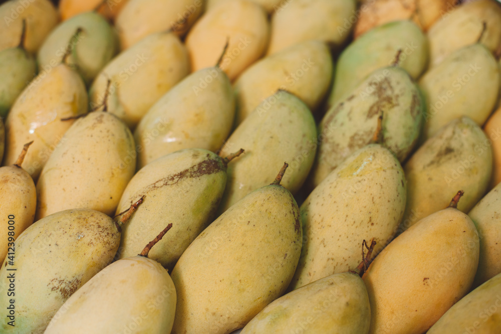 Yellow Mango Fruit Yellow Mango Fruit