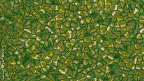 Photos Plant nanobionics