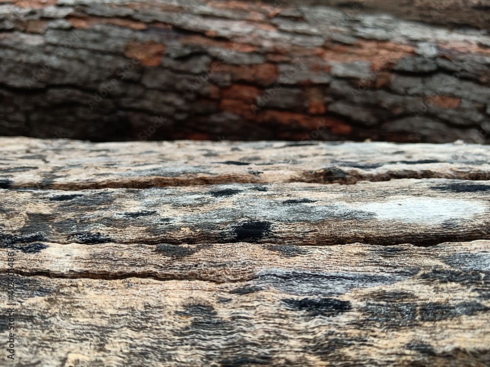 Wood floor pattern used in architectural design.