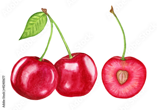 Ripe red cherry, whole and cut. Juicy illustration of sweet cherry watercolor. Berry clipart on a white background.