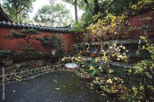 the garden in Jinli Street,Chengdu photo