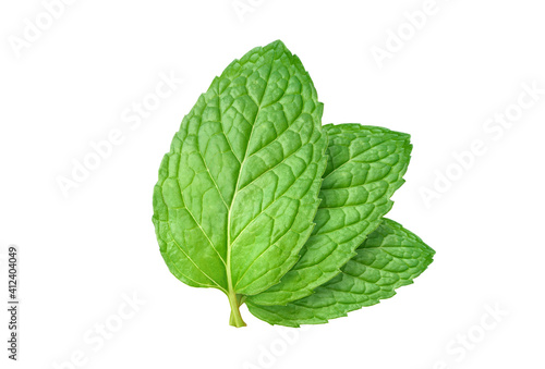Three fresh Mint leaves isolated on white background with clipping path.