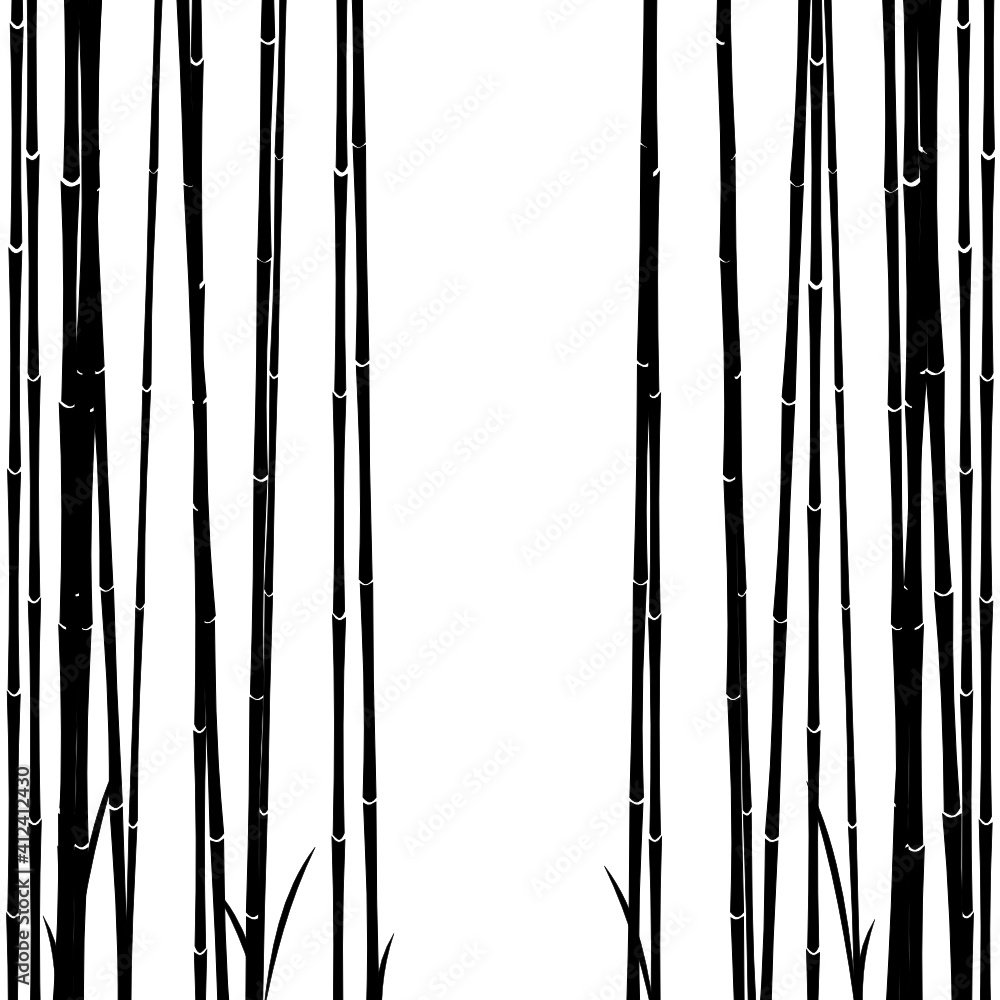Bambus Wald Bambus Wald