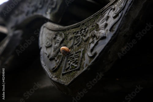 Old grey tiles on eaves Yu Garden, Shanghai, China