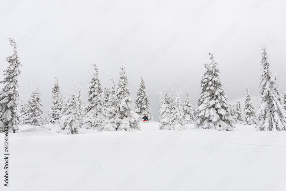 Freerider skiing through trees in powder snow Freerider skiing through trees in powder snow