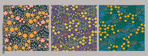 Set of seamless patterns with meadow flowers. Vector graphics.