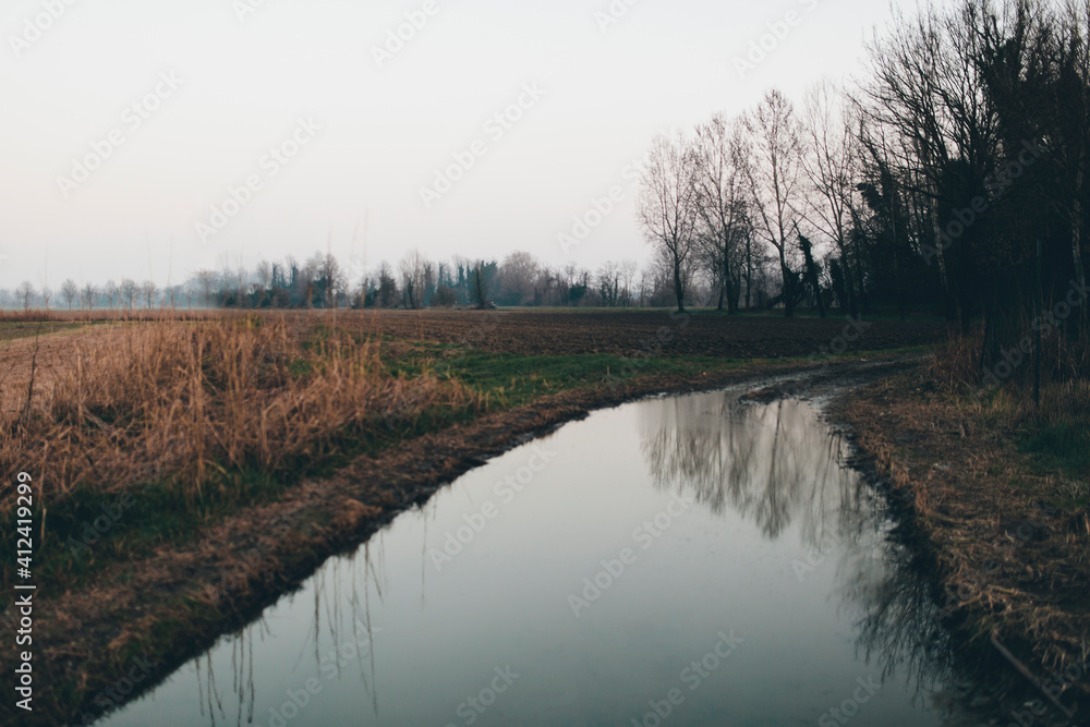 Trees reflection in puddle in countryside landscape in northern Italy