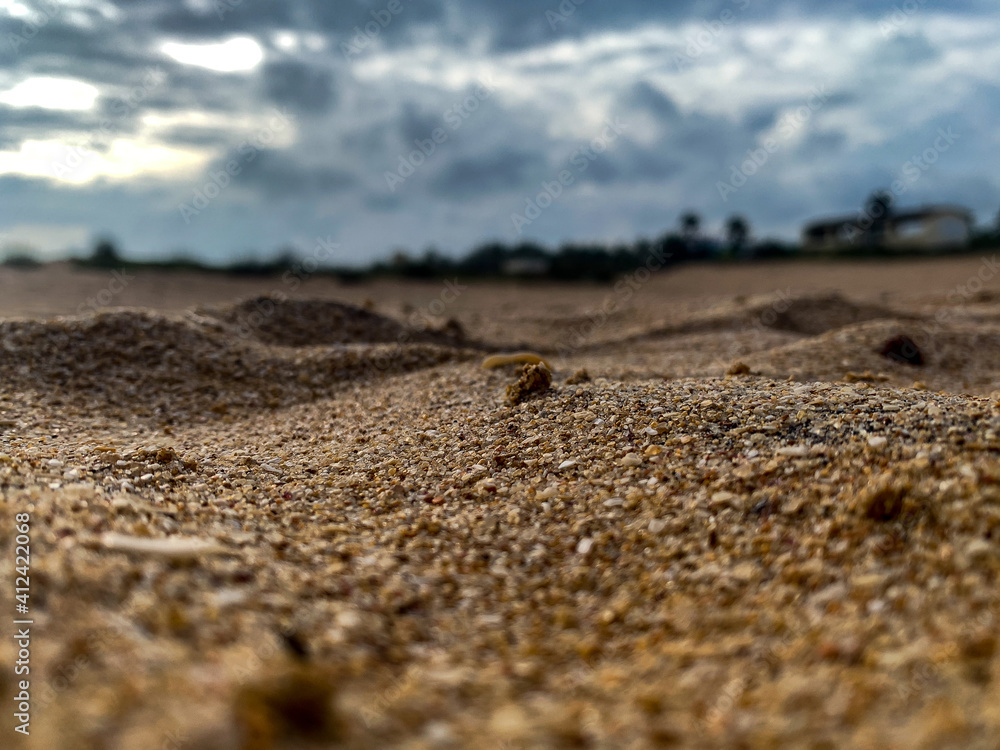 Grains of sand in the beach Grains of sand in the beach