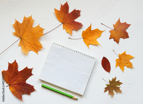 notebook, pencils and autumn leaves, copy space,