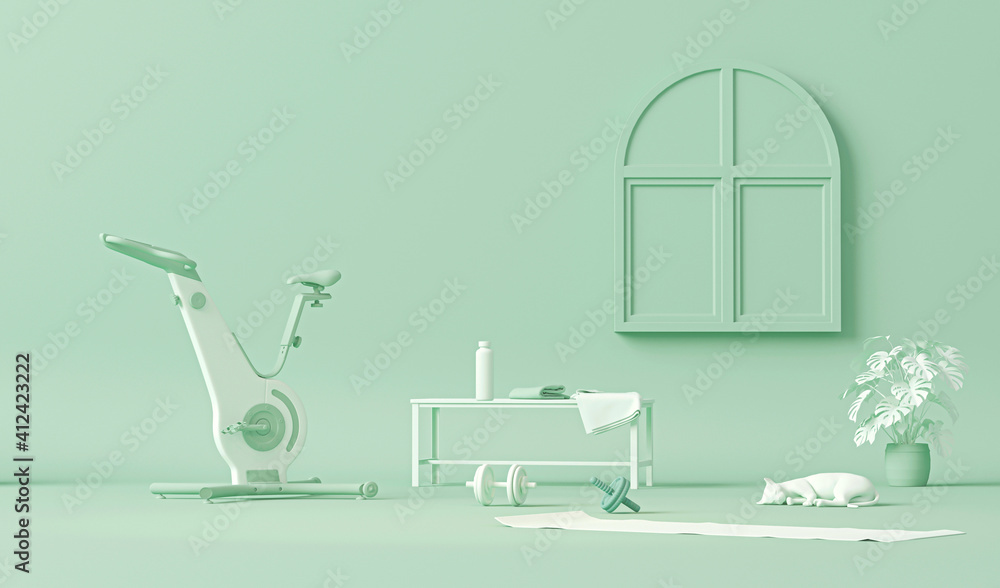 Fototapeta premium Exercise bike, weights and cat, plant. Pastel blue and white colors scene. Trendy 3d render for sport fitness equipment, female concept, lifting in the gym and exercise daily background. Healthy life