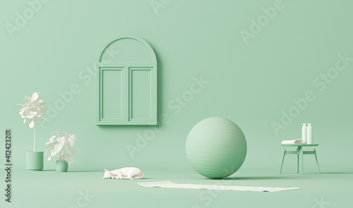 Fitness ball, yoga and cat, plants . Pastel blue colors scene. Trendy 3d render for sport fitness equipment, female concept, exercise daily background. Healthy living.