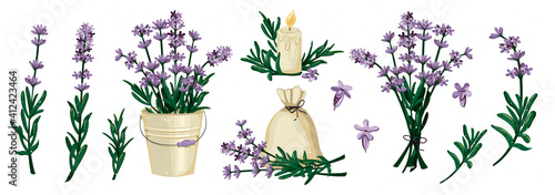 lavender set. Vector graphics. EPS format