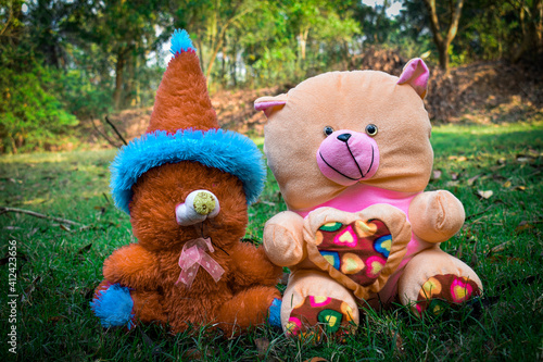 A pink-yellow and a brown-blue teddy bear landed side by side on the green grass as a symbol of love and valentine  Taddy Day 