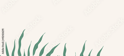 Floral web banner with drawn color exotic monstera leaves. Nature concept design. Modern floral compositions with summer branches. Vector illustration on the theme of ecology, natura, environment